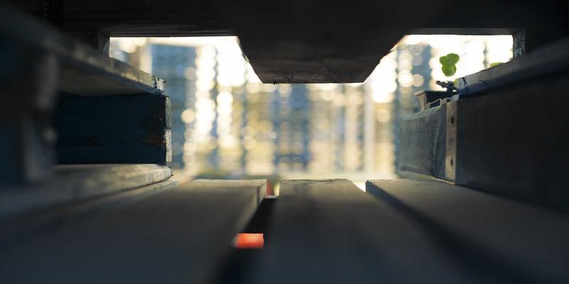 从时间规划到名校录取:金智成教育工作坊如何用一站式服务重塑留学竞争力