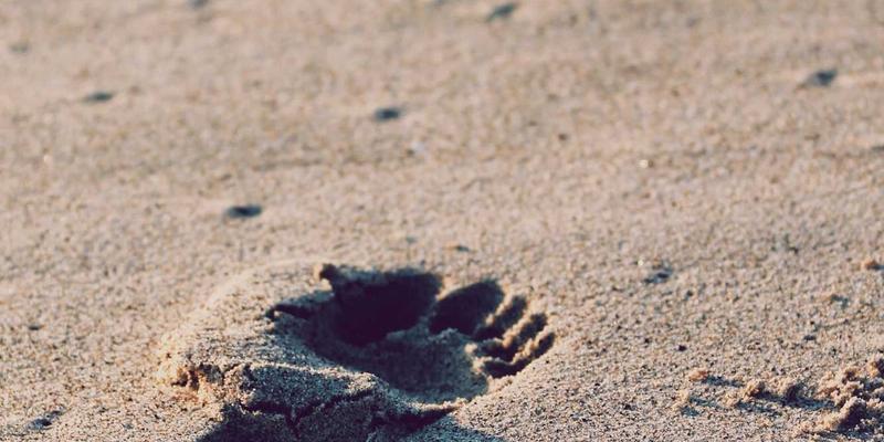 小升初衔接关键期，金智成教育如何助力孩子赢在初中起跑线？