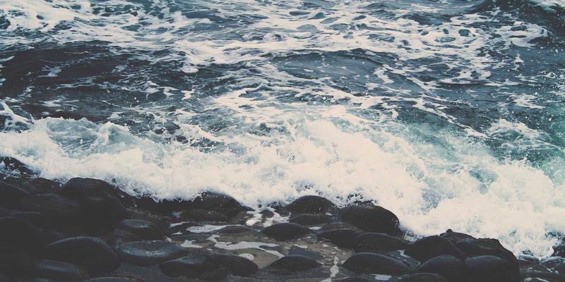 金智成教育：卓越校区环境与沉浸式学习氛围，助力学业与签证双成功